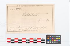 Etikett zu Bronzeschöpfgefäß (NHMW-PRAE-035754)